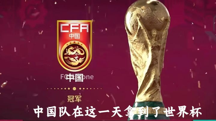 中国队冠军截图