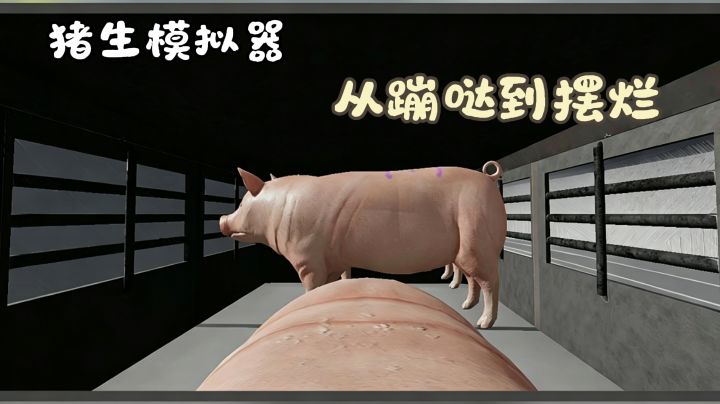 主打一个搞笑沙雕，沉浸式体验小猪从生到死的日常！截图