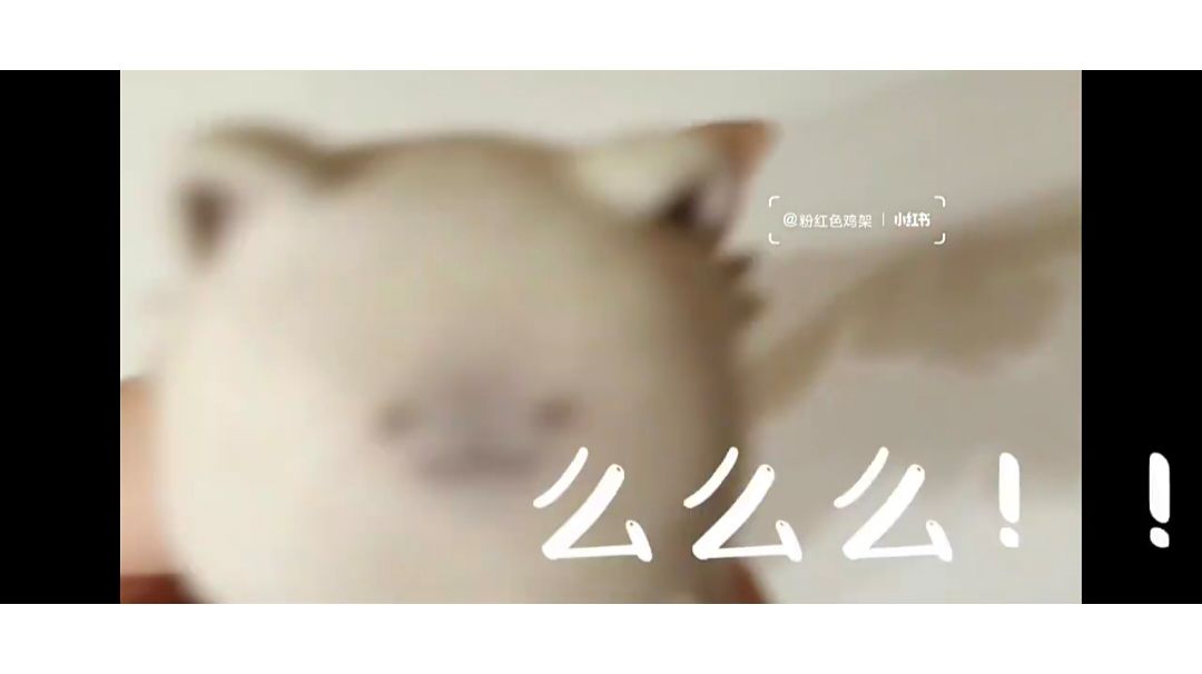 video-2814201