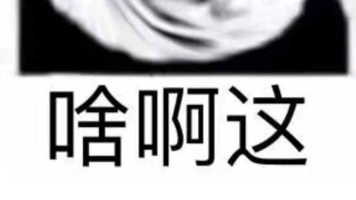 整活产物截图