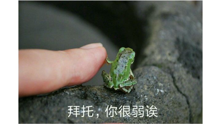 鲨群 噩梦15层截图