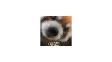 【专武自选】杜拿利斯第二战