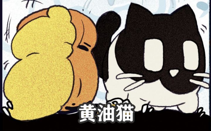 萌猫从天而降欢乐停不下来截图