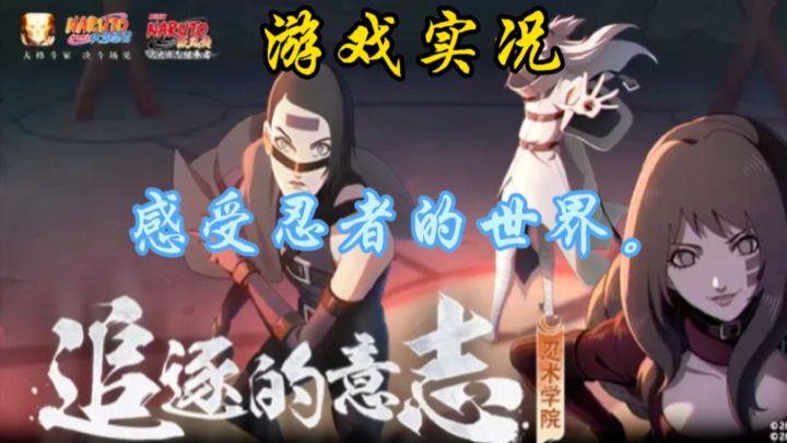 在游戏中尽情沉浸,感受忍者的世界。截图
