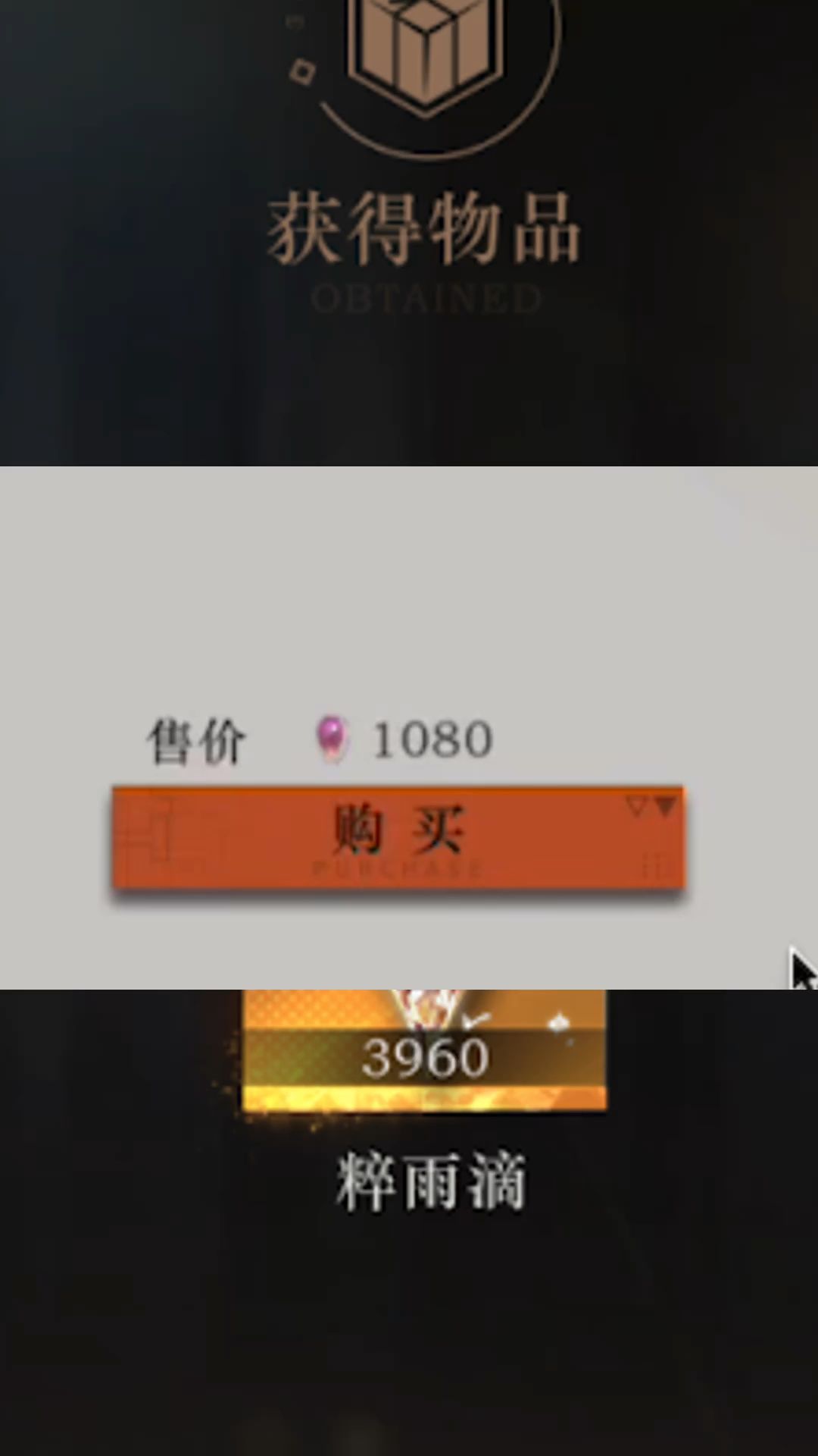video-4779335