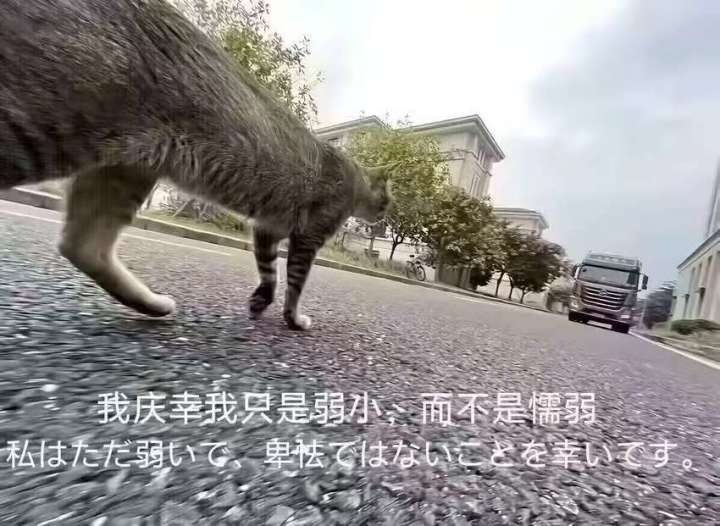 萌新水个三星灼龙~QwQ截图