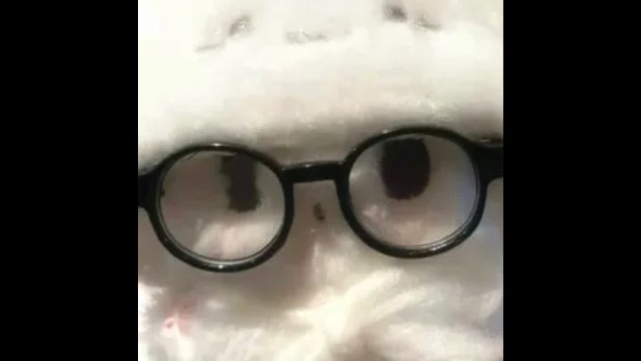 许安天天开心啊截图