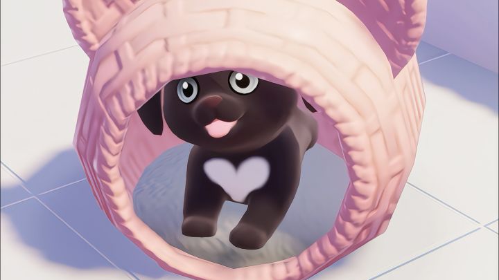 小黑!你是怎么做到睡猫窝还这么理直气壮的截图