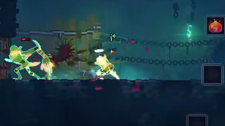 video-4005914