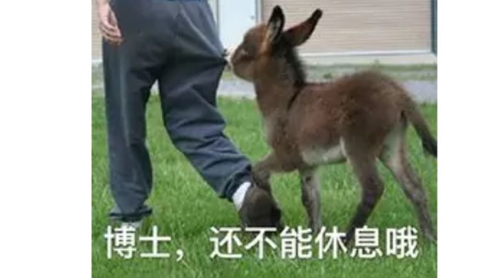 sn-s-3-b高配摆完挂机作业截图