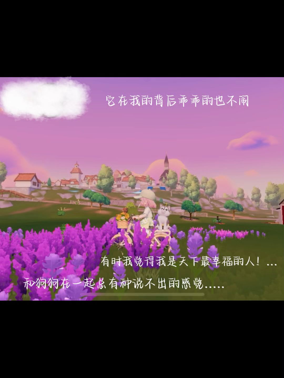 video-5068791