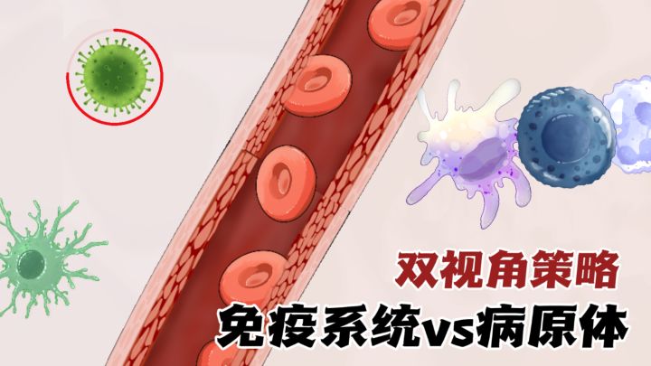 双视角策略：先守住免疫防线，再突破它！截图