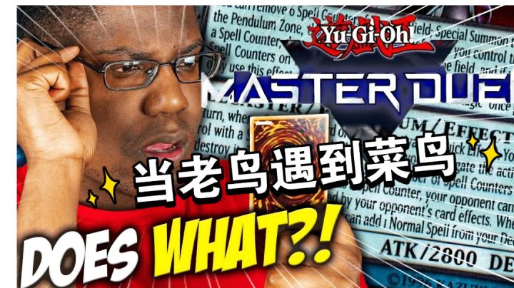 【游戏王】当老鸟遇到菜鸟截图