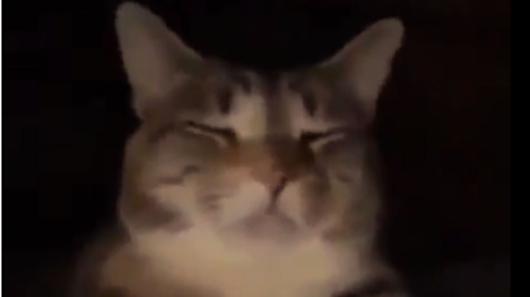 video-3681349