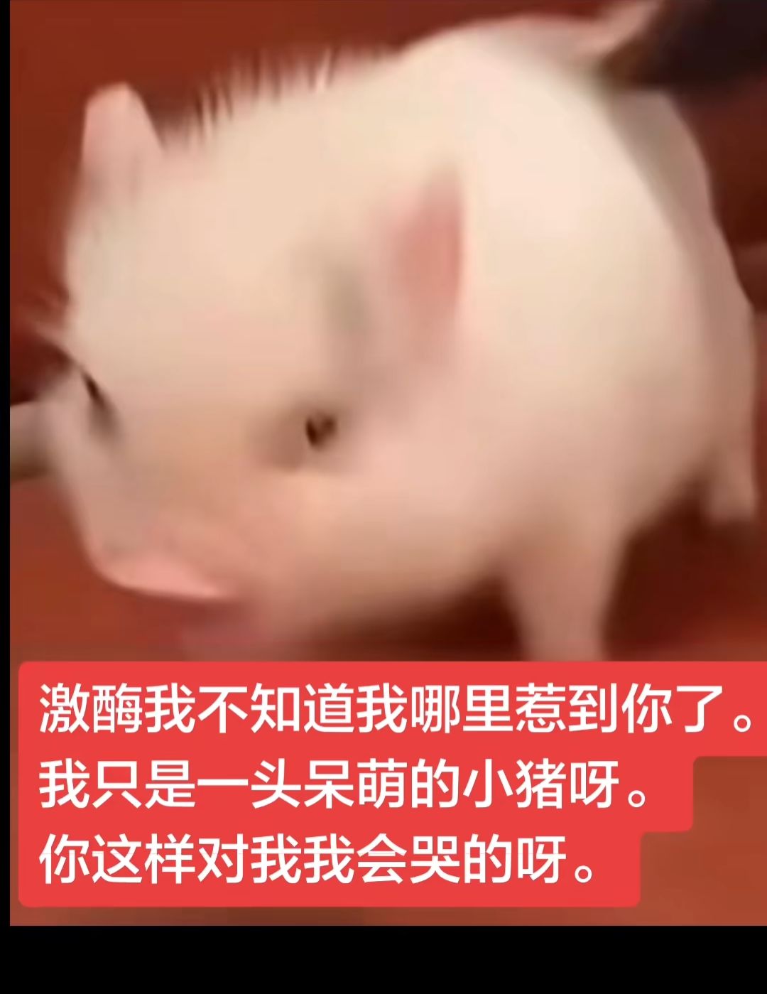 video-5717357