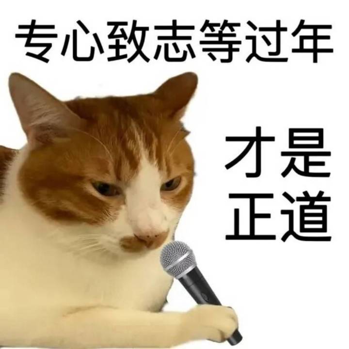 和废物红烧肉一起敲装备,第二弹截图