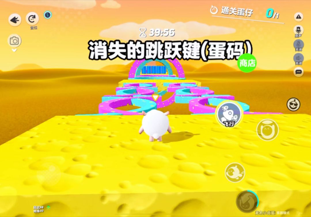 video-4529061