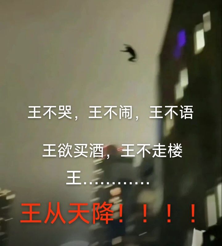 [mindsutry]生活不易，颗秒天帝截图