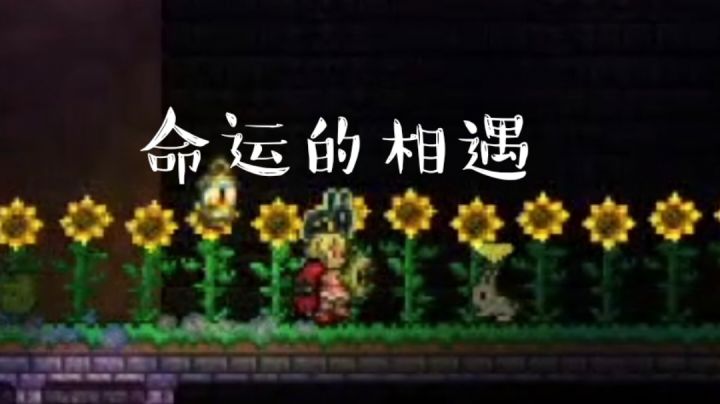 第一次挑战骷髅王,结果......截图
