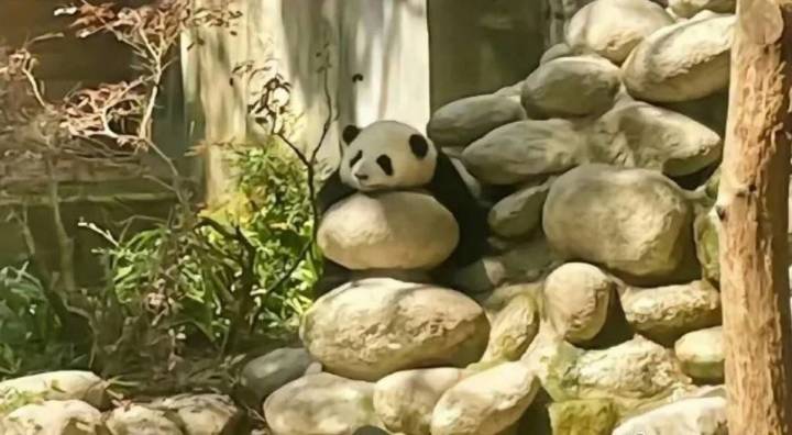 小阳剑躺江湖:看看最近进度截图