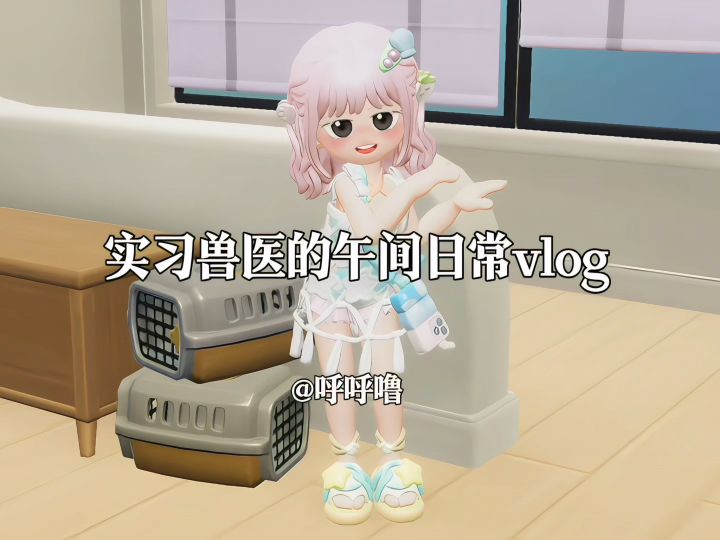 实习兽医的午间日常vlog截图