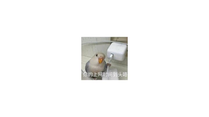 47000修罗之力的权姐朝你冲来截图