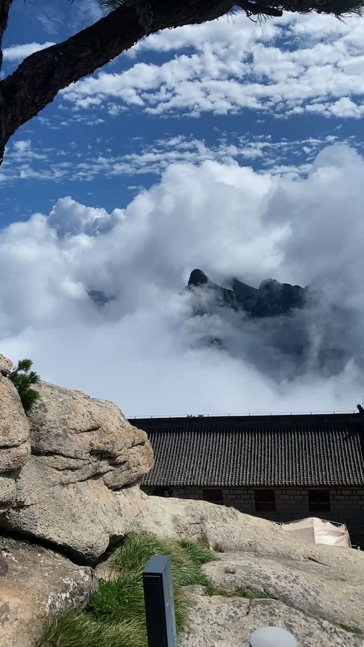 礼包码呢截图