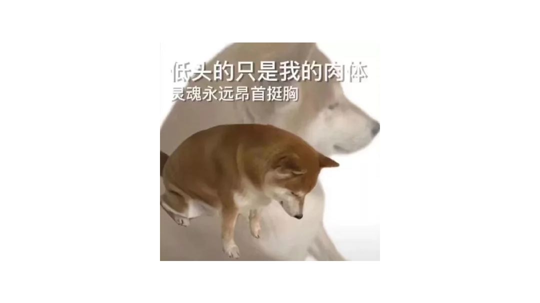 video-3041715