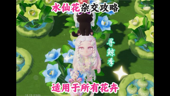 水仙花杂交攻略 适用于所有花卉截图