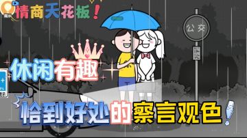 【情商天花板】一款休闲益智小游戏，带你提升情商水平！