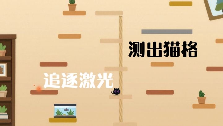 一场激光追逐游戏,测出你藏在心底的猫咪人格截图