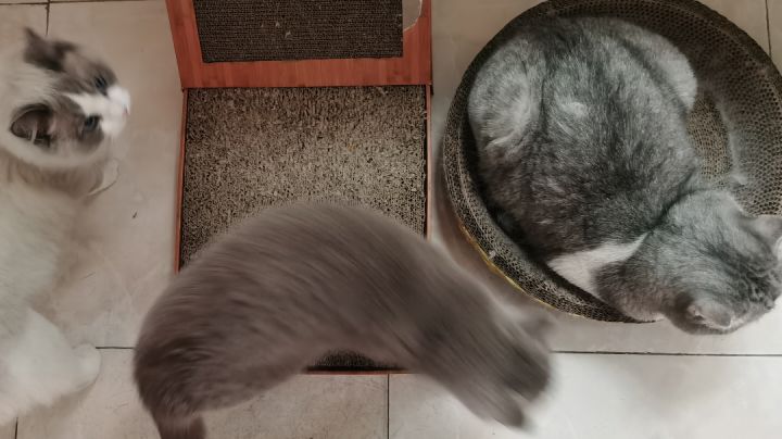 《诺亚之心》好像也没那么不堪🧐截图
