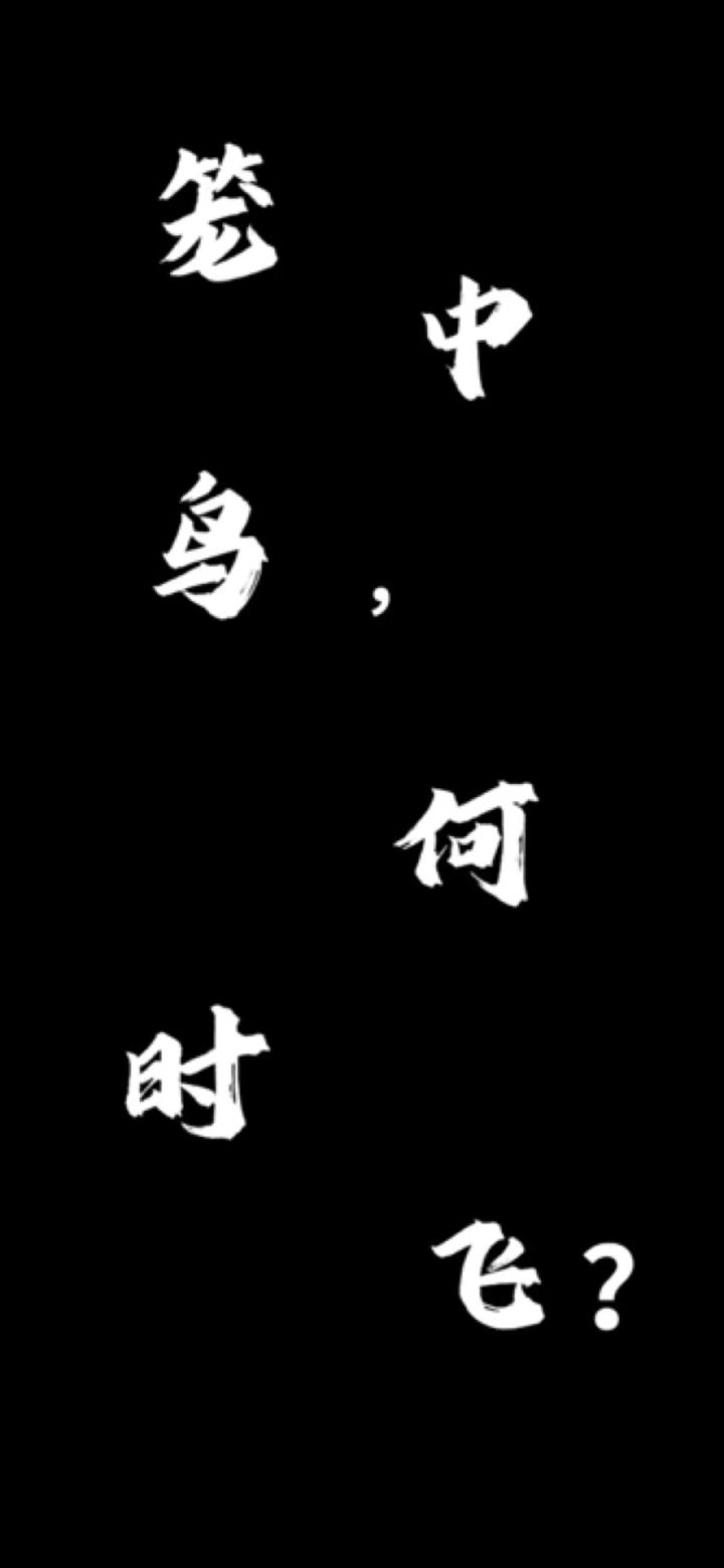 “笼中鸟,何时飞?”截图