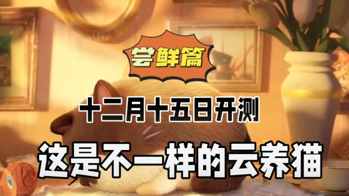 猫咪公寓2:十二月十五日开测,这是不一样的云养猫!截图
