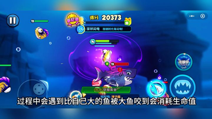 游戏介绍:鱼吃鱼:一款休闲类游戏!截图