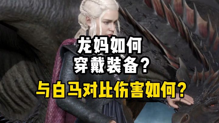 潮汐守望者龙妈装备选择与实战教学截图