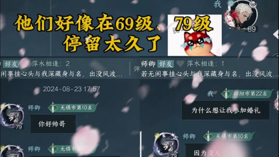 video-5278021