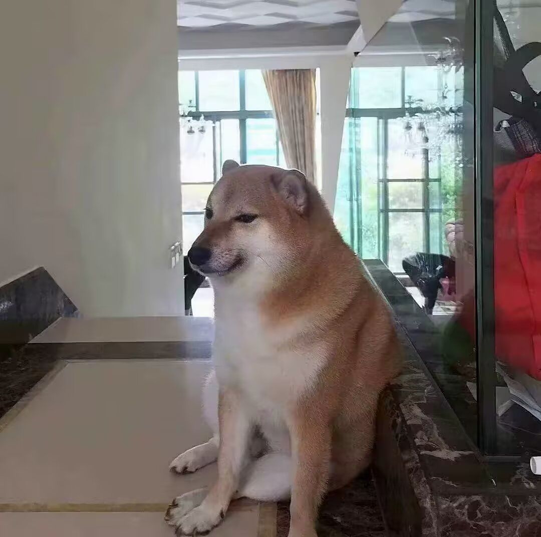 video-5808575