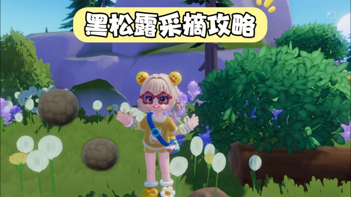 ✅稀缺品种黑松露采摘攻略‼️截图