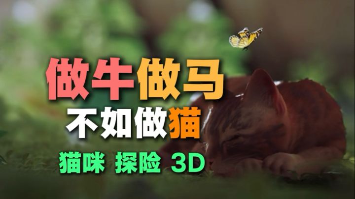 一款做流浪猫的游戏…截图