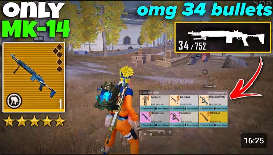 video-5842815