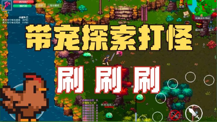 带宠大地图探索打怪，一身极品装备全靠刷！截图