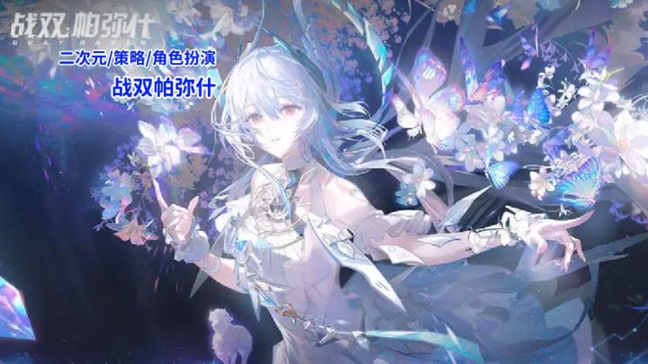 二次元角色扮演游戏 高难度动作游戏?截图