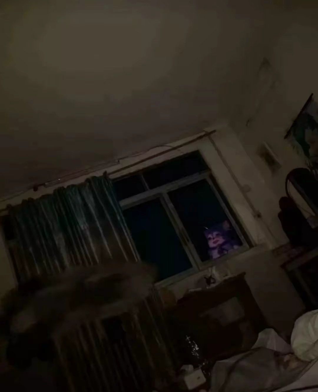 video-4348939