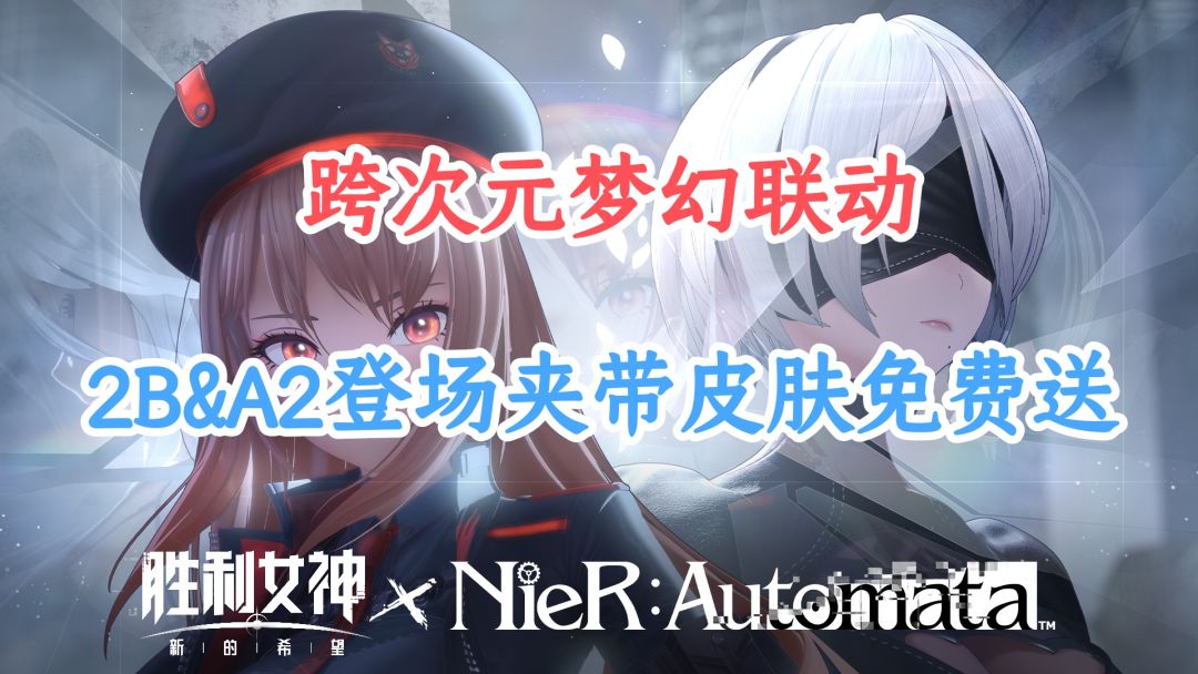 video-5064577