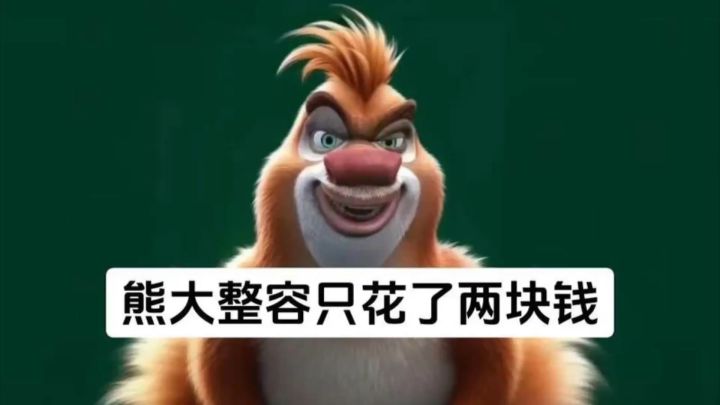 熊大整容只花了两块钱截图