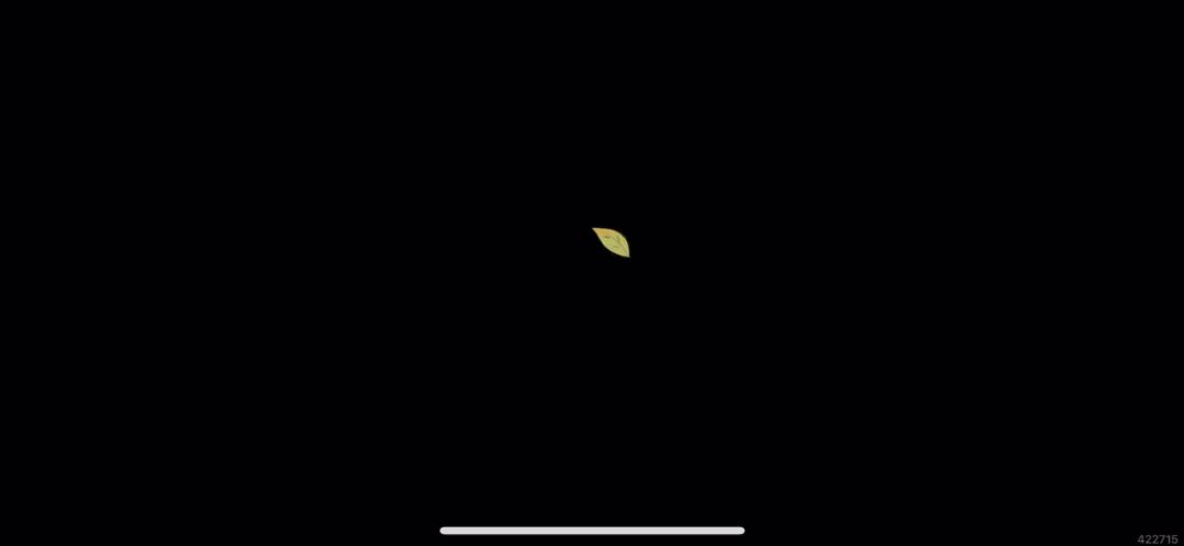 video-4250495