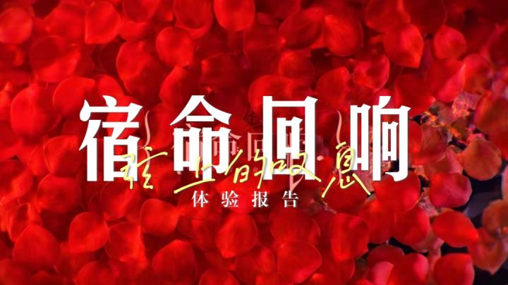 古典音乐和二次元手游会产生什么化学反应?宿命回响体验报告截图