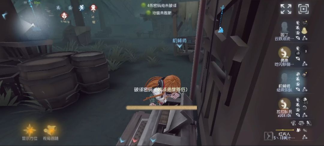 video-4632674