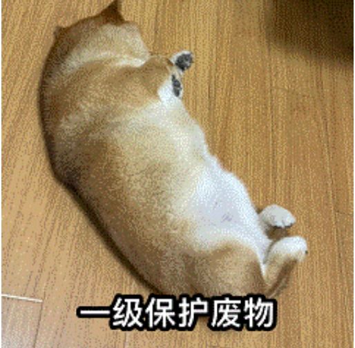 懒狗是这样刷图的截图